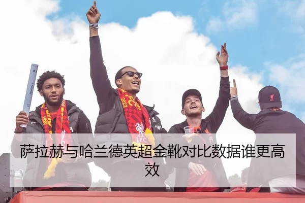 sa-la-he-yu-ha-lan-de-ying-chao-jin-xue-dui-bi-shu-ju-shui-geng-gao-xiao-2-677.jpg